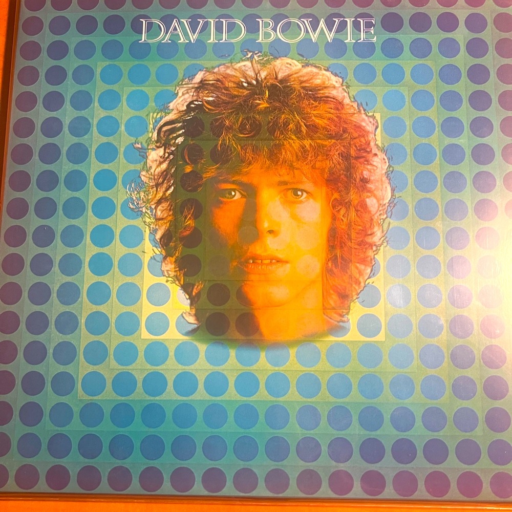 David Bowie Vinyl LP